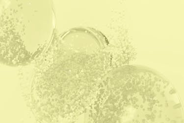 Everything you need to know about AHA and BHA