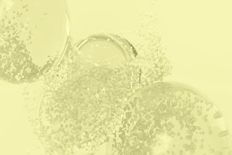 Everything you need to know about AHA and BHA