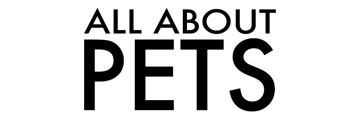 All About Pets