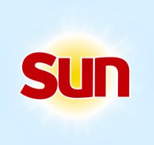 Sun Professional