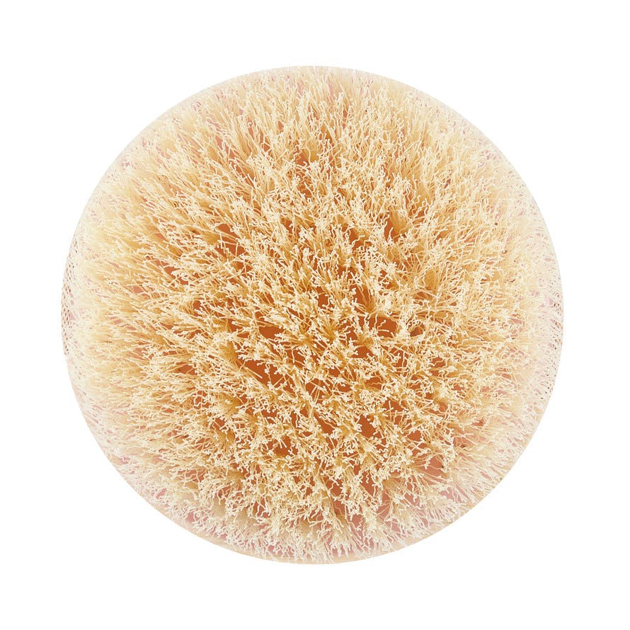 Ecotools deals dry brush