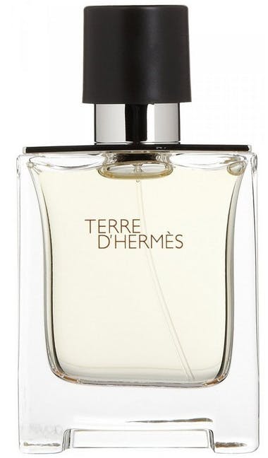 Hermes Terre D'Hermes EDT 100 ml