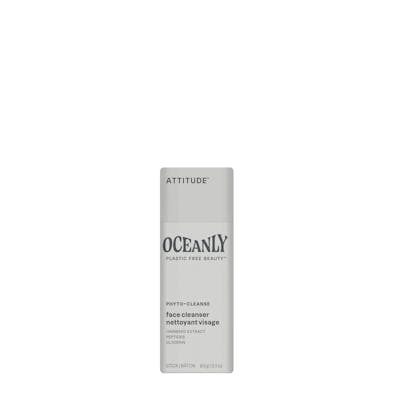 Oceanly PHYTO-CLEANSE Cleansing Stick 8,5 g