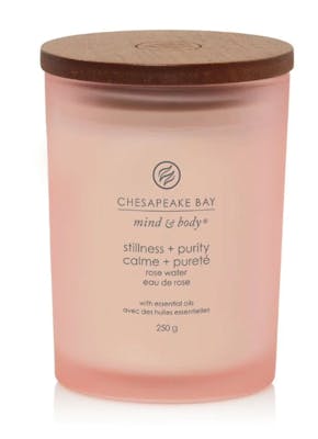 Chesapeake Bay Candle Scented Candles Stillness &amp; Purity 250 g