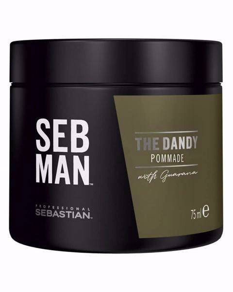 Sebastian Professional Seb Man The Dandy Pomade 75 ml