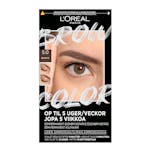 L&#039;Oréal Paris Brow Color Semi Permanent Eyebrow Color 5.0 Brunette 1 st