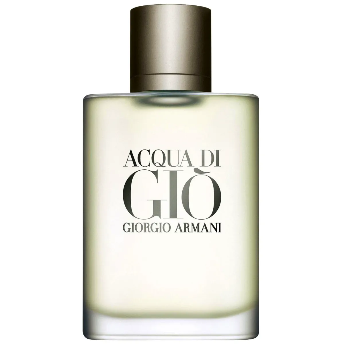 Giorgio Armani Acqua Di Gio 100 ml