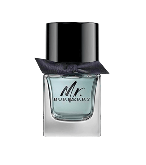 Burberry Mr. Burberry EDT 50 ml