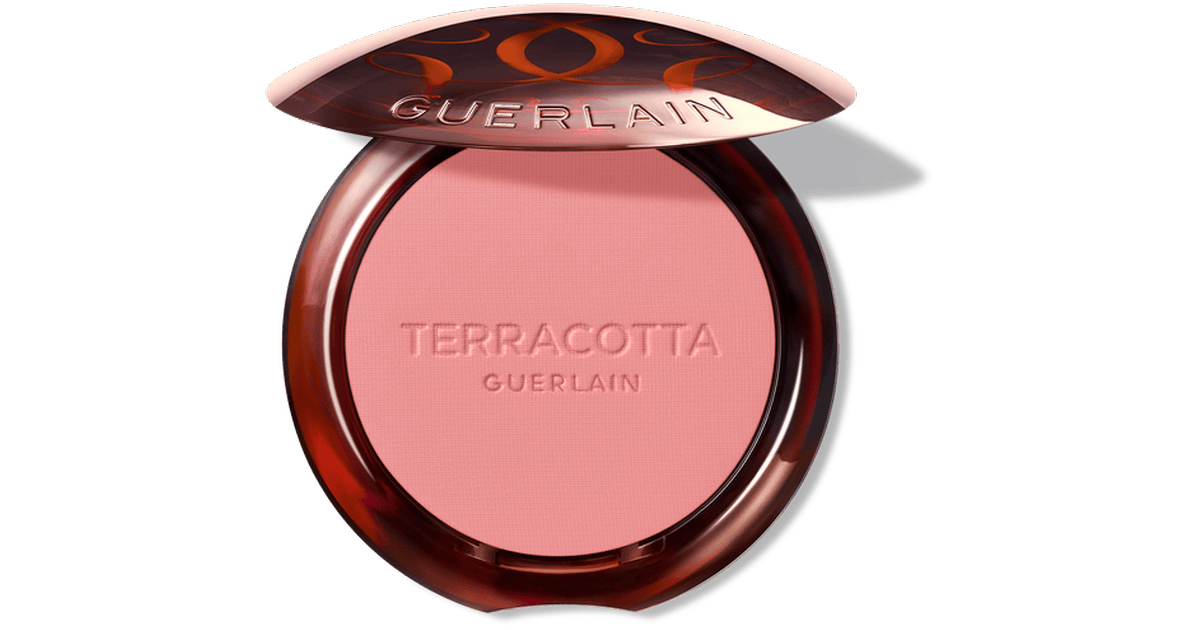 Guerlain Terracotta Blush 2 5 g
