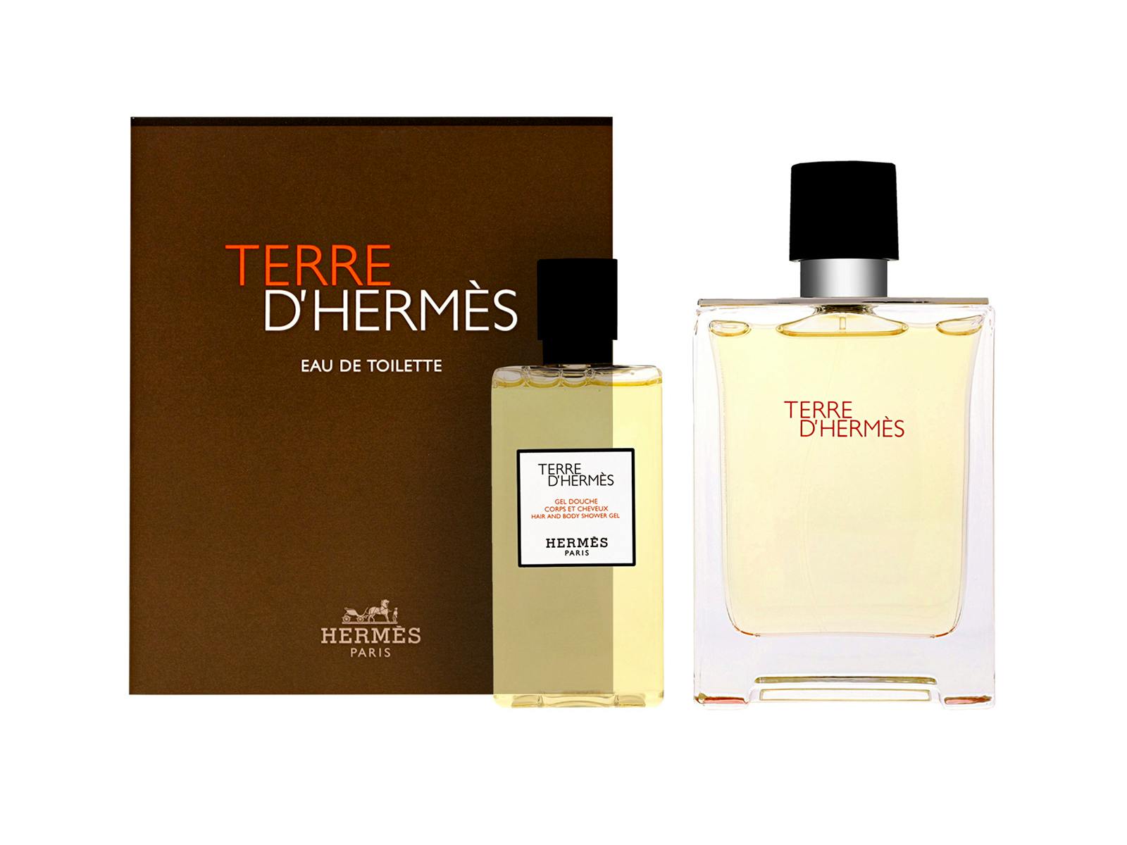 Hermes Terre D'herm&egrave;s Set 80 ml + 100 ml