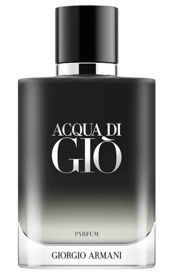 Giorgio Armani Acqua Di Gio Parfum 100 ml