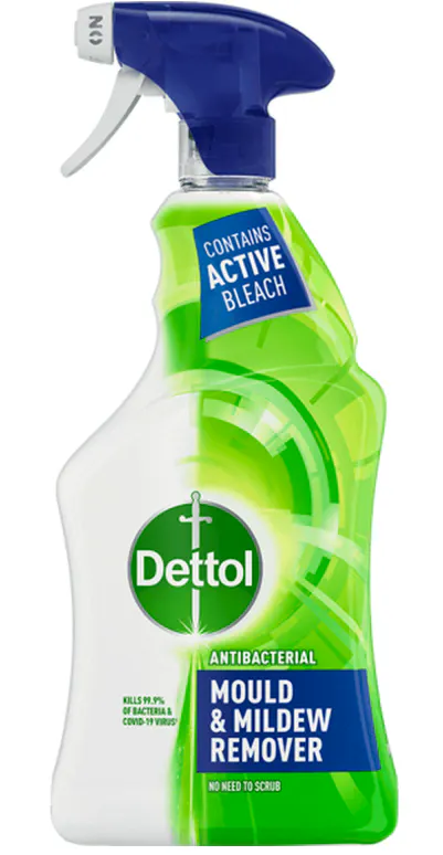 Dettol Mould Mildew Remover 500 ml