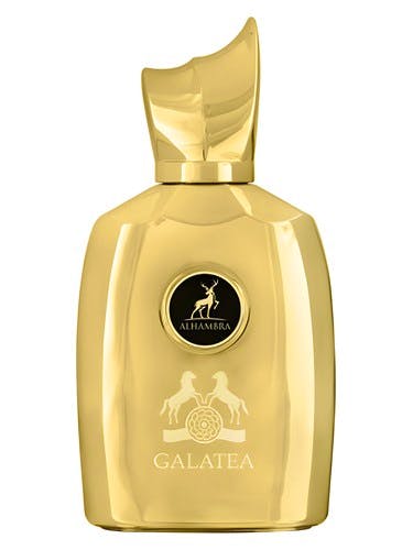 Maison Alhambra Galatea Man EDP 100 ml