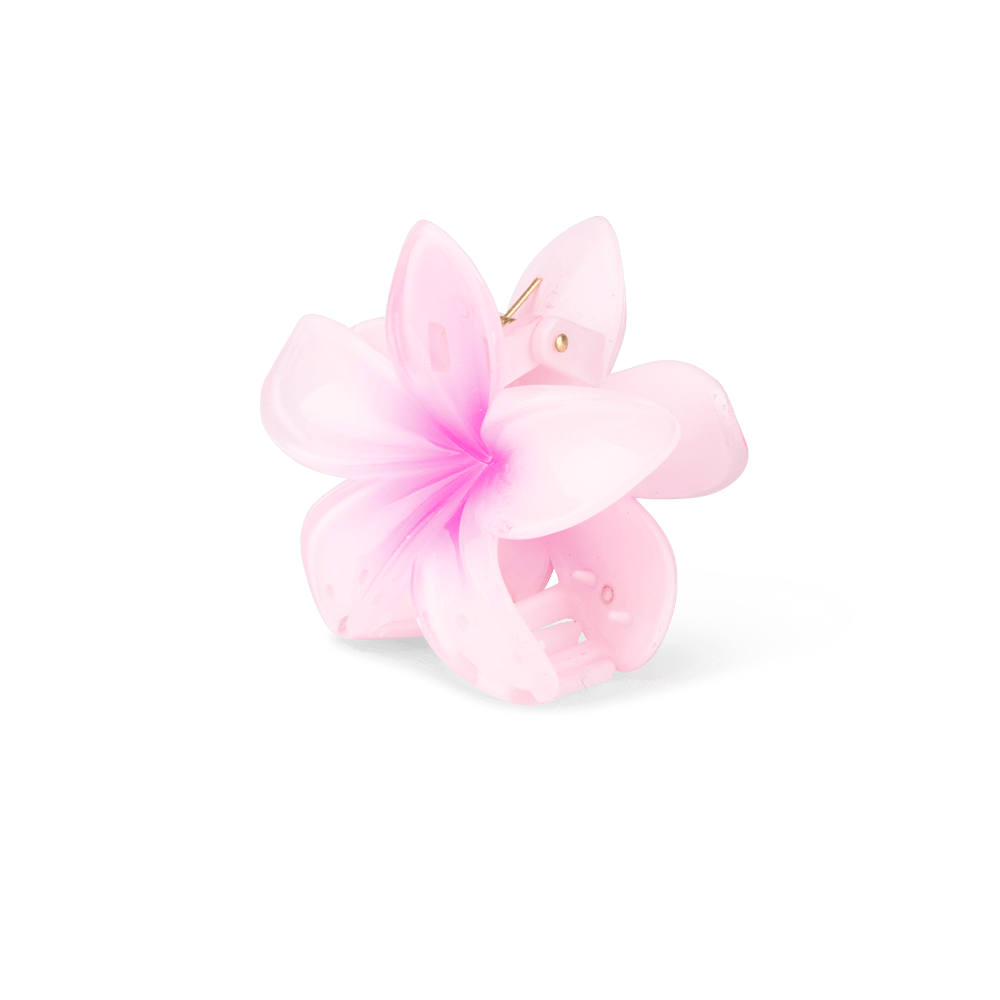 Sui Ava Plumeria Hawaii Big Pink 1 st