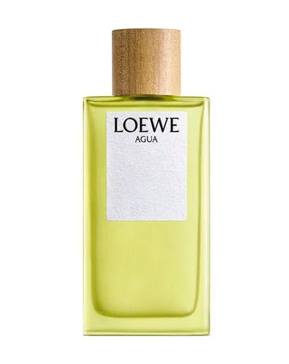 Loewe Agua EDT 100 ml