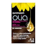 Garnier Olia 4.3 Dark Golden Brown 1 st
