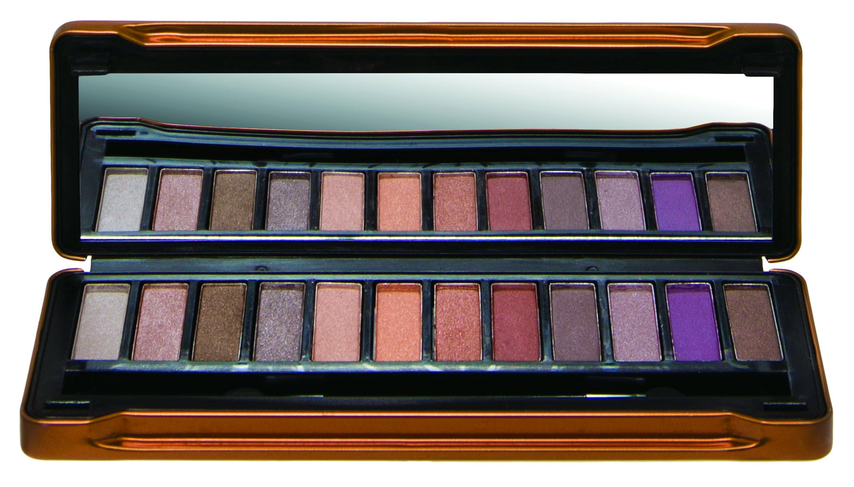 Technic Bronze Edition Shimmer Eyeshadow Palette 1 pcs £3.99