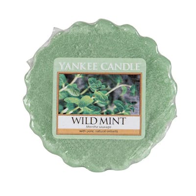 Yankee Candle Classic Wax Melt Wild Mint 22 g