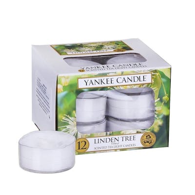 Yankee Candle Classic Tea Lights Linden Tree Candle 12 st
