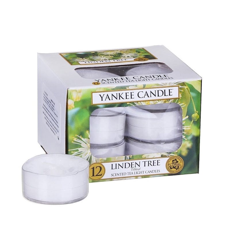 Yankee Candle  Classic Tea Lights Linden Tree Candle 12 kpl 12 kpl