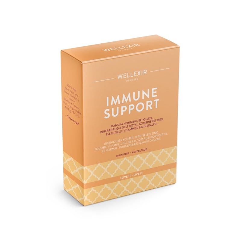 Wellexir Immune Support 60 kpl