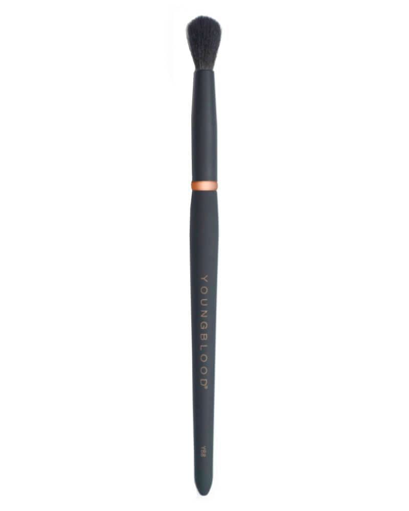 Youngblood Makeup Brush YB8 Tapered Blending 1 stk