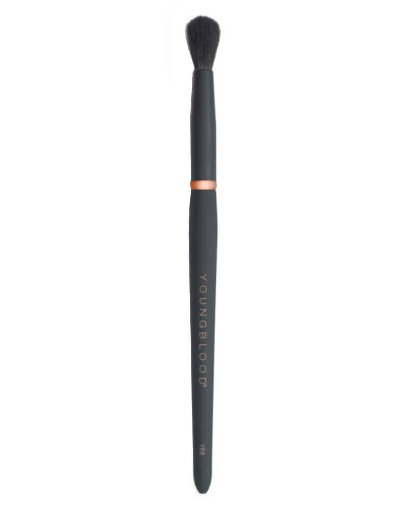 Youngblood Makeup Brush YB8 Tapered Blending 1 st