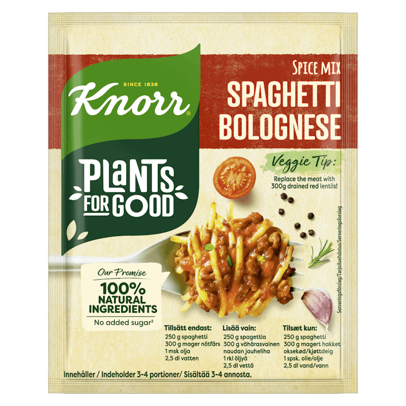 Knorr Spice Mix Spaghetti Bolognese 38 g