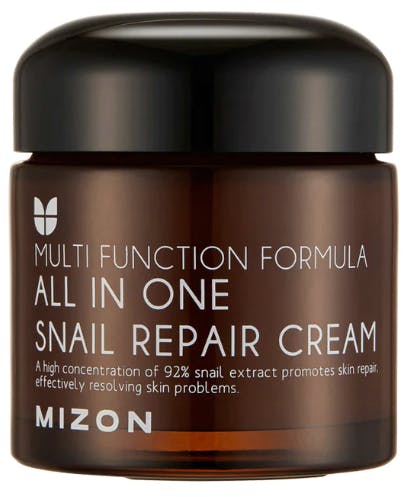 Mizon All In One Snail Repair Cream 75 ml